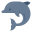 zdolny delfin