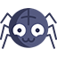 zwinny pająk
